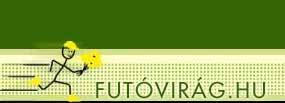 Futvirg